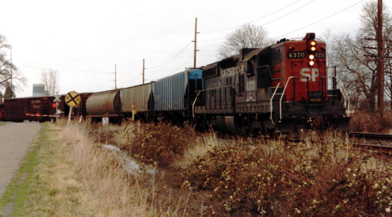 Another shot of this local